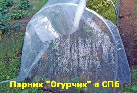 тоннель огурчик тоннель огурчик