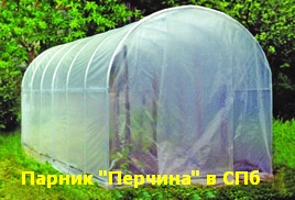 тоннель перчина тоннель перчина