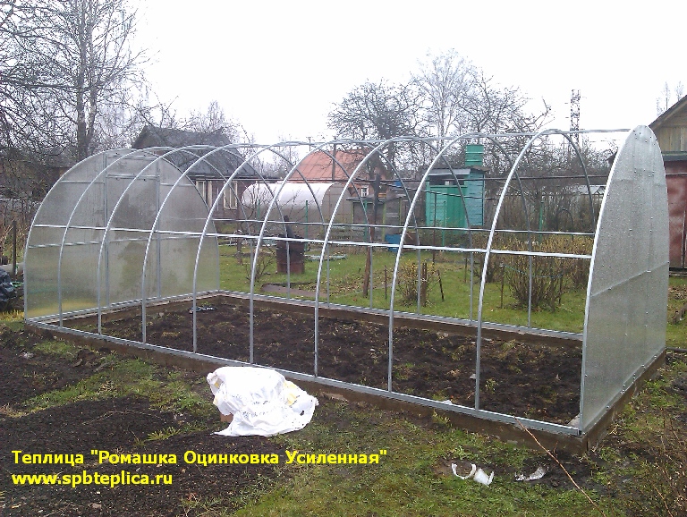 теплица ромашка оцинковка усиленная теплица ромашка оцинковка усиленная