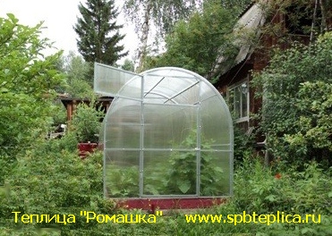 теплица ромашка 1,56 х 4м теплица ромашка 1,56 х 4м